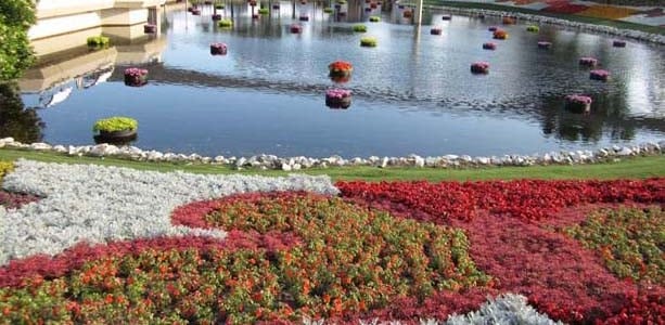 Mouse Chat Disney podcast – A Disney Radio Show by Disney Fans for Fans EPCOT International Flower and Garden Festival Bob heads over to EPCOT to explore this years Flower...