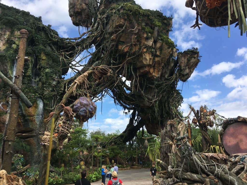 Preview at Disney's Animal Kingdom