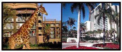 Disney World - Staying on property vs. off property