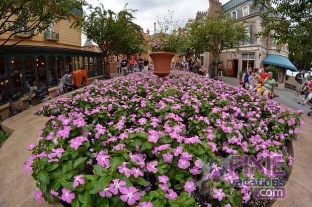 epcot france dining review