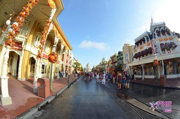 What we loved from our Disney World Vacation