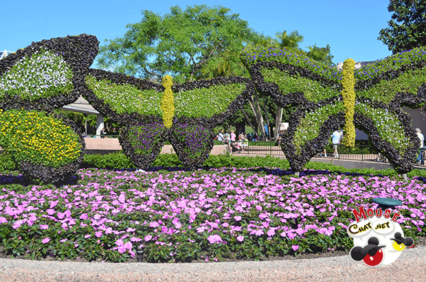 Disney World Flower and Garden Festival Mouse Chat