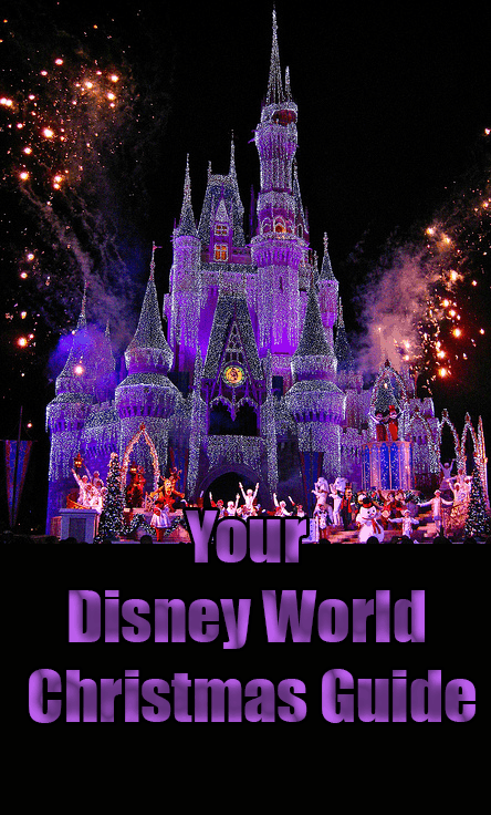 Disney World Holiday party Christmas Guide
