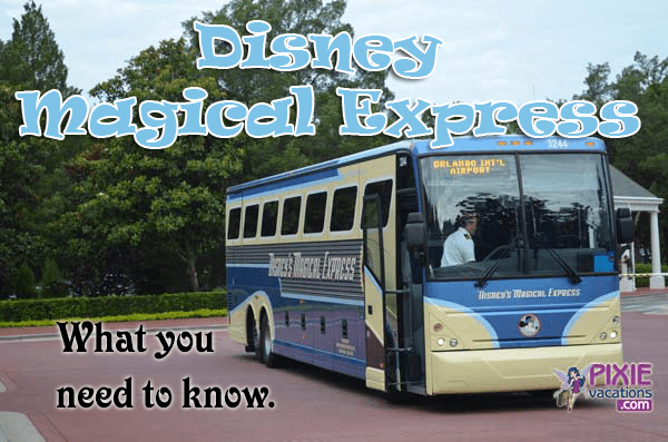 How does Disney transportation work?