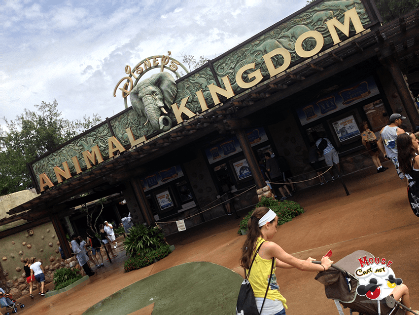 Disney News – from Animal Kingdom to extra hours at Magic Kingdom