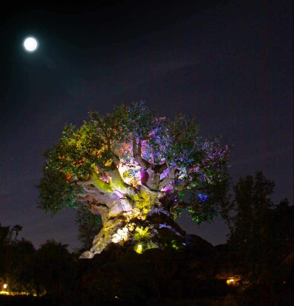 Animal Kingdom Tree of life awakens