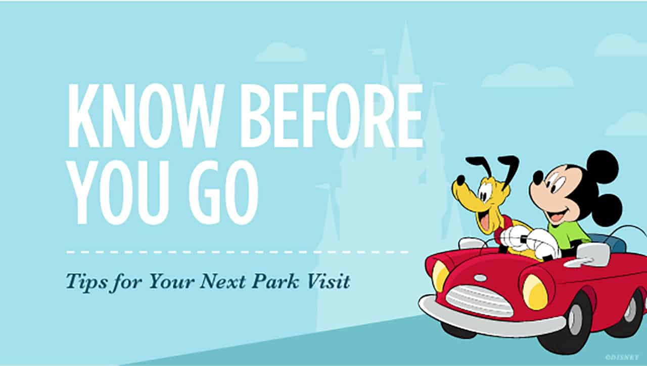 What you need to know Before you go to Walt Disney World