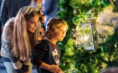 Free Holiday Things at Disney World